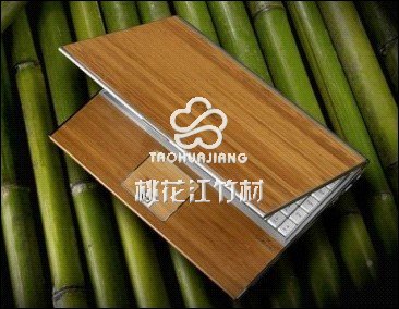 桃花江參加上海竹博會