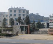 竹膠合板 膠合竹板材